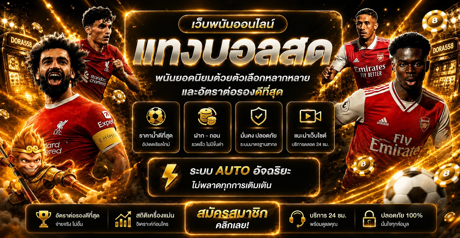 แบนเนอร์กีฬา DORA558 และข้อมูลการใช้งานแบบมีแผน
